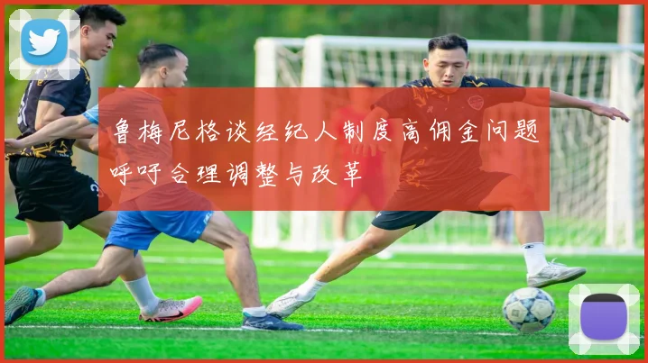 鲁梅尼格谈经纪人制度高佣金问题呼吁合理调整与改革